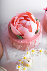 Cakes Assortment, Bento Cakes on Light Pink Background