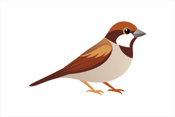 a beautiful Sparrow bird Vector artwork illustration