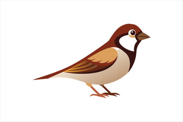 a beautiful Sparrow bird Vector artwork illustration