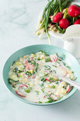 Cold summer soup Okroshka, soup with vegetables and sausage, eggs and fresh herbs and yogurt, traditional Russian soup