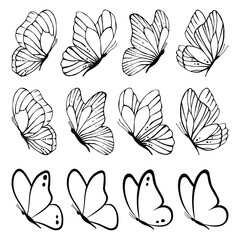 Set of black and white line butterflies. Collection of butterflies. Vector illustration. Butterflies clipart. Baby shower design elements. Party invitation, birthday celebration. Spring, summer decor