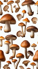 mushrooms isolated on white background