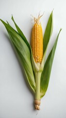 corn greens isolated on white background