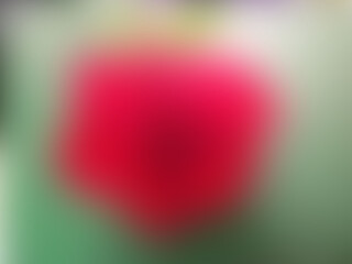 top view, abstract blurred  pure green red colore texture background for design or illustration, stock photo, gradiant floor, card, light, business, technology,tropical texture