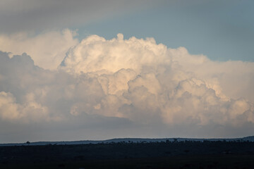 Here is one example of many animals I photographed in Kenya. This photo was specifically taken in...