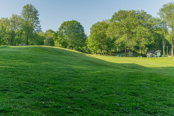 beautiful landscape of sheared grass lawn in the park