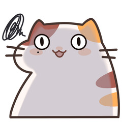 Eat cat with big eyes so funny