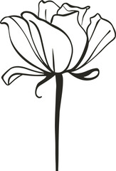 Flowers isolated on transparent background. 
Flowers in modern simplE  Cute round flower 
plant nature collection Vector illustrator.