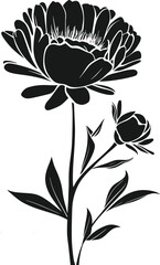 Flowers isolated on transparent background. 
Flowers in modern simplE  Cute round flower 
plant nature collection Vector illustrator.