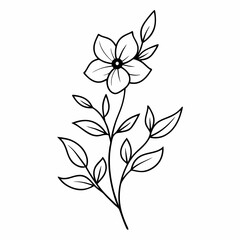 Doodle flower branch outline isolated white background (15)