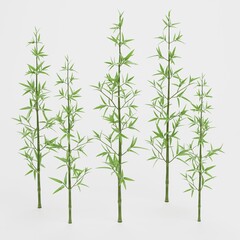 Obraz premium Realistic 3D Render of Bamboo Plant