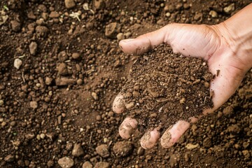 Scoop Of Soil. Handful of Rich Earth in Brown Color for Farming and Gardening