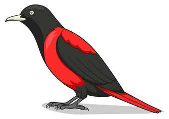 Maroon oriole bird learn birds educational game PNG illustration