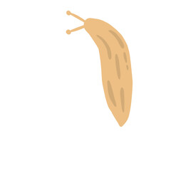 Slug Illustration