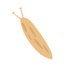 Slug Illustration