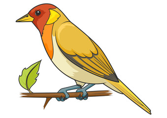 Rufous headed tanager bird learn birds educational game PNG illustration