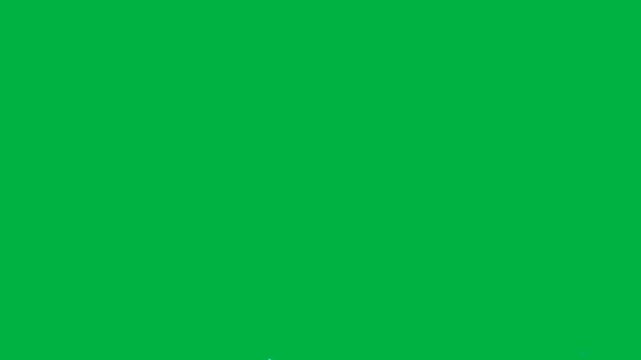 Vintage film leader with text on a green screen, Vintage Damaged Film Strip