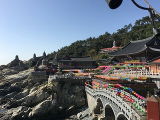 절