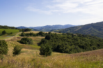 landscape in the mountains