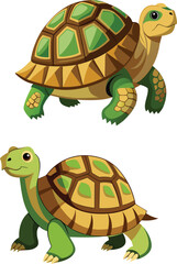 Two cartoon tortoises walking on white background