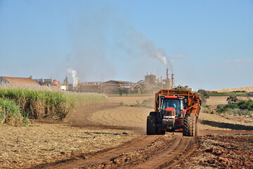 Fototapeta premium Equipamentos de transporte de cana de açúcar trabalhando no campo