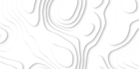 Modern paper cut art abstract background. Abstract realistic paper decoration for design textured with cardboard wavy white layers.