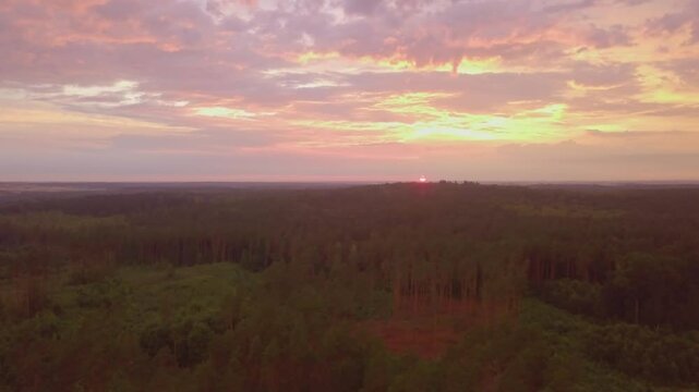 Beautiful sunset over forest. Drone footage.