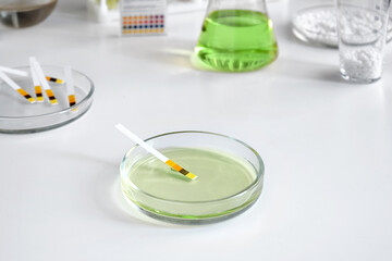 Close-up of a laboratory Petri dish with test paper for testing an alkaline acid solution against the background of chemical tools and glassware.