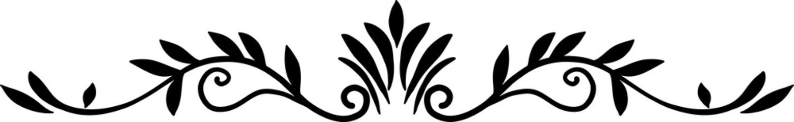 Floral and flower frame divider illustration.