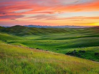 Obraz premium sunset over the field