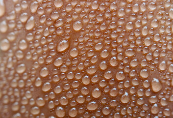 Macro Shot of Water Droplets on Gradient Brown Iced Chocolate Latte Transparent Plastic Cup