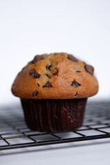 Chocolate muffin on a white background. Shallow depth of field.