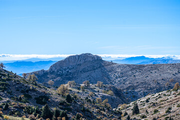 Panoramic view from the hiking trail to Torrecilla peak, Sierra de las Nieves national park, Andalusia, Spain