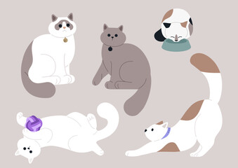 A Feline Family Portrait, Five Cats in Playful Poses, A colorful illustration featuring animals in various poses, including one playing with a ball,  eating from a bowl, and another one stretching
