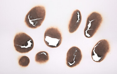 Set of burnt holes of paper, texture and background


