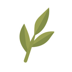 Green leaf in minimalist style isolated on white background.