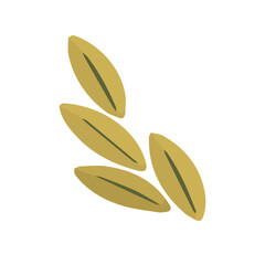 Leaves in minimalist style isolated on white background.