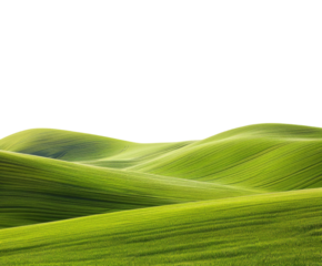 Green rolling hill on white background..