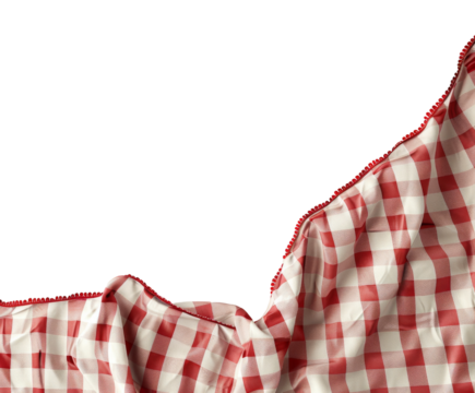 Vintage kitchen cloth with red border and checkered pattern on white background..
