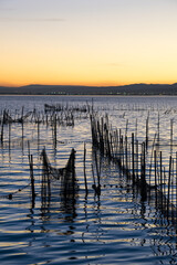Sunset in the calm waters of la albufera in Valencia, Spain © Chris DoAl