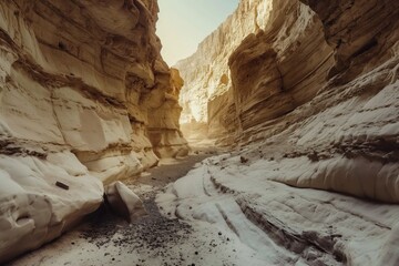 a narrow canyon in the desert