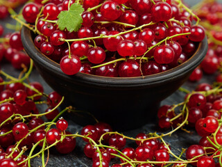 Fresh red currants in a brown ceramic bowl stand on a black wooden board