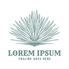 Obraz premium Vintage Retro Agave Plant for Mexican Drink Tequila with Hand Drawn Sketch Engraved Style Vector