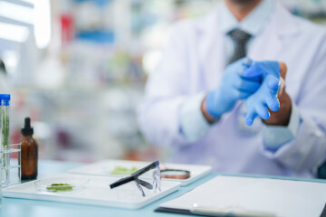 Scientists prepare for the experiment by wearing latex gloves. An experimenter arranges...