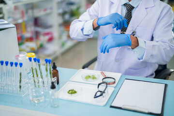 Scientists prepare for the experiment by wearing latex gloves. An experimenter arranges...