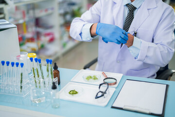 Scientists prepare for the experiment by wearing latex gloves. An experimenter arranges...