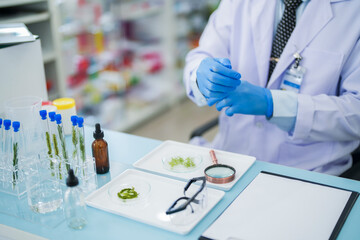 Scientists prepare for the experiment by wearing latex gloves. An experimenter arranges experimental equipment on a table with test tubes and chemicals for making drugs and biochemical for human.