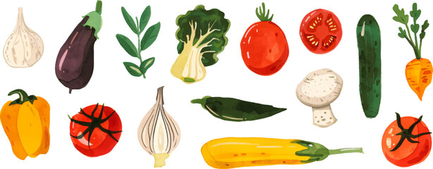 Set of watercolor vegetables. Broccoli, cucumber, eggplant, pepper, garlic, tomato, carrots and other vegetables. Vector illustration.