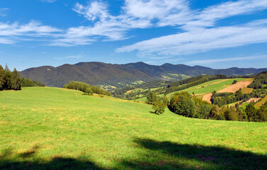 Picturesque summer landscapes of the Beskids. Trees on the grassy meadow. rural fields on the distant hills, sunny scenery with white clouds on the blue sky.