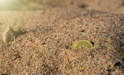 A lost gold coin in the sand.Search on the beach.Gold prospecting.